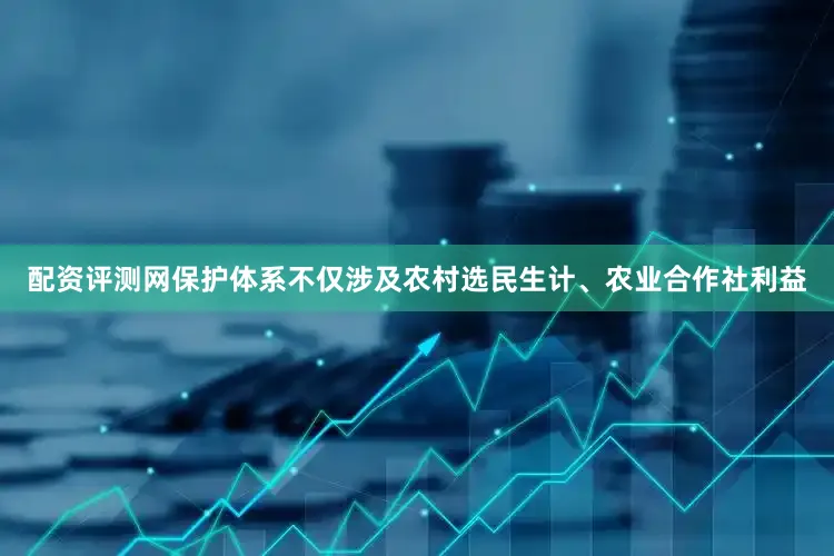 配资评测网保护体系不仅涉及农村选民生计、农业合作社利益
