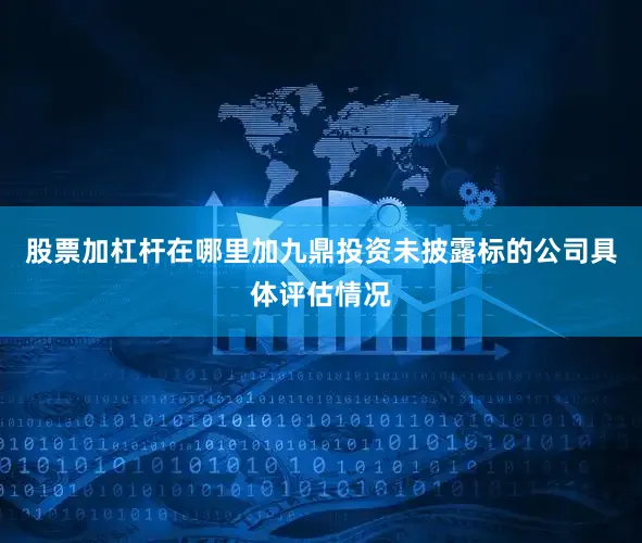 股票加杠杆在哪里加九鼎投资未披露标的公司具体评估情况